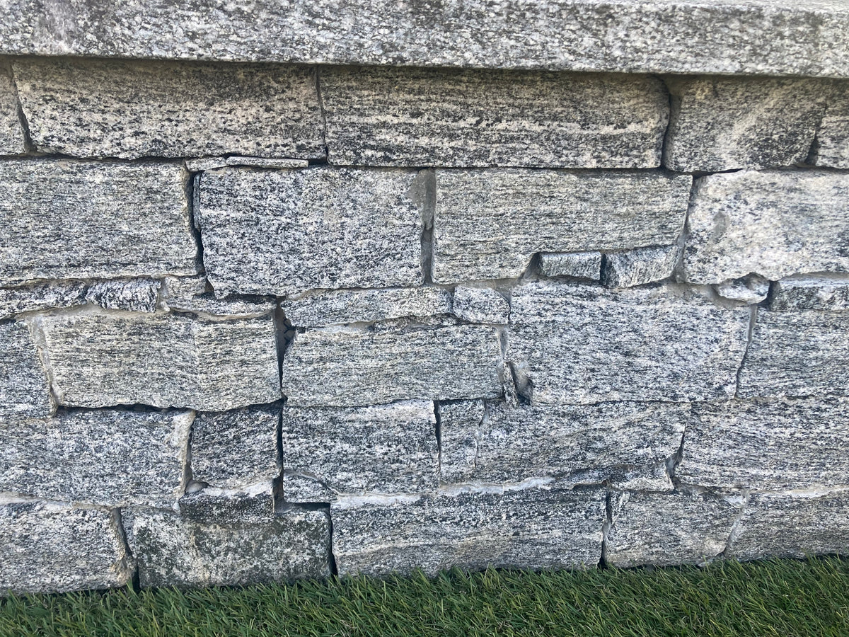S1610 GNEISS ALPS