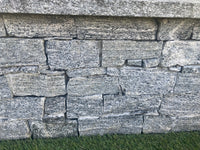 S1610 GNEISS ALPS